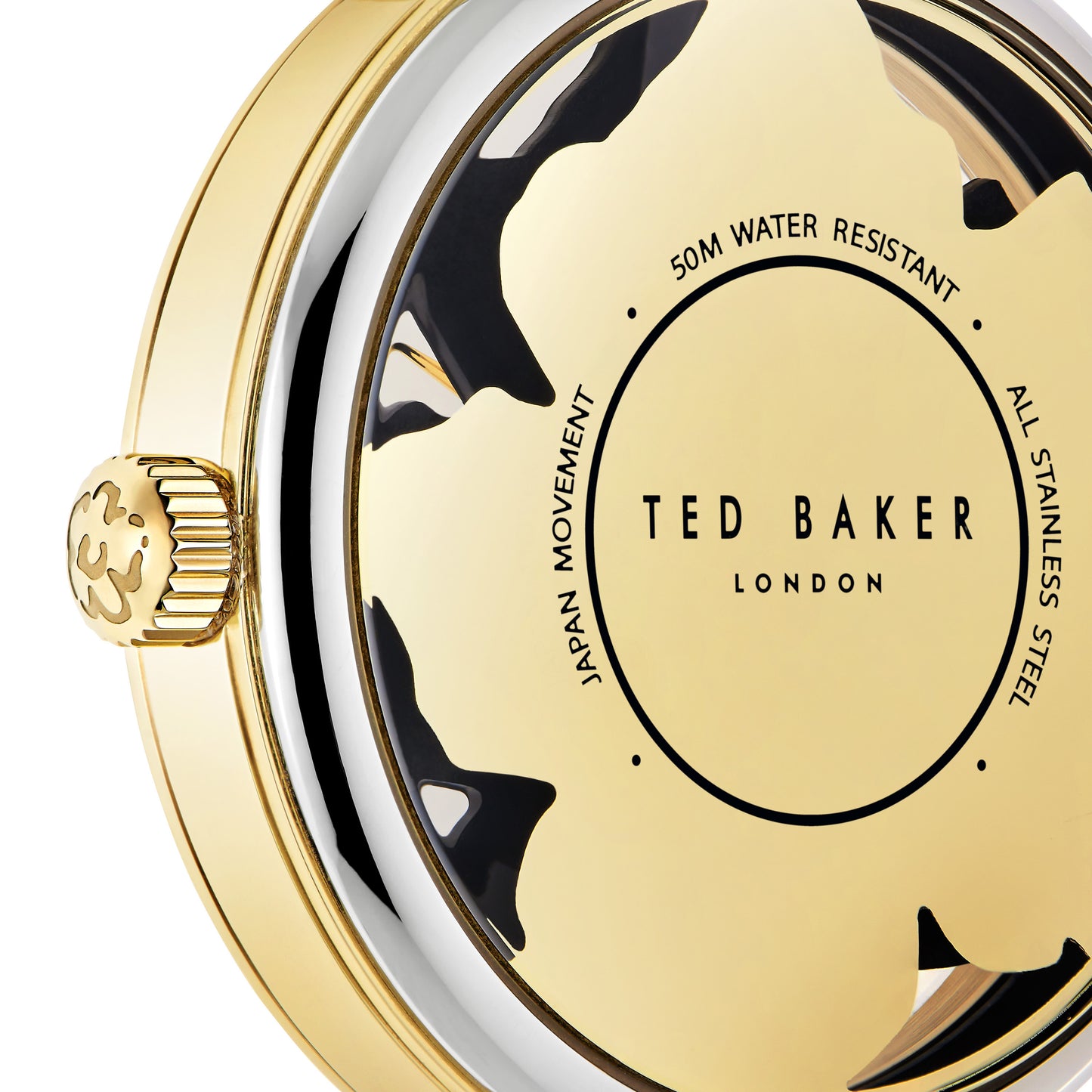 Ted Baker Black Dial Women Watch - BKPLIF204