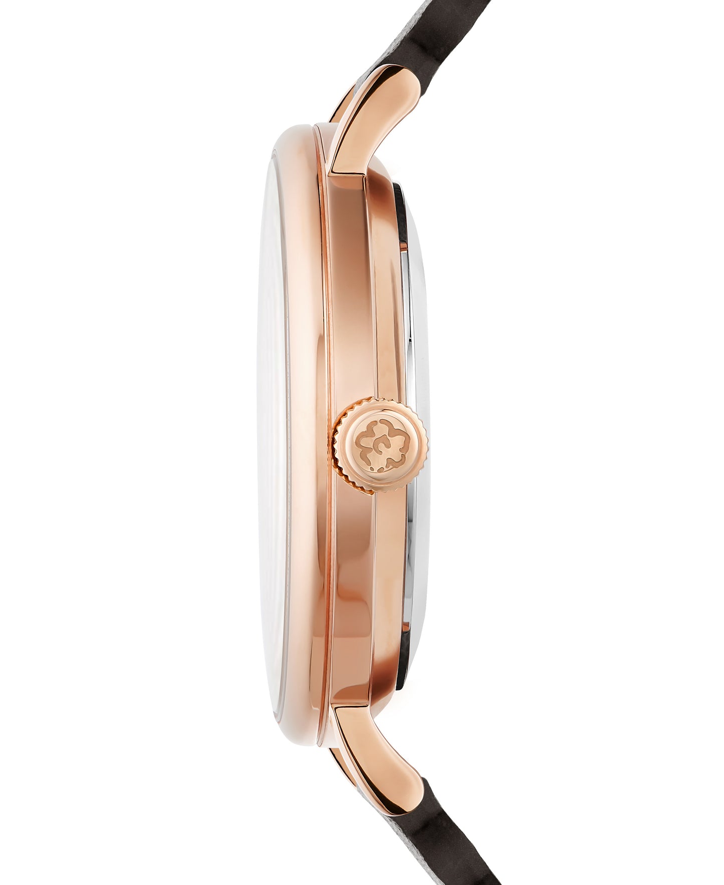 Ted Baker Black Dial Women Watch - BKPPHF202