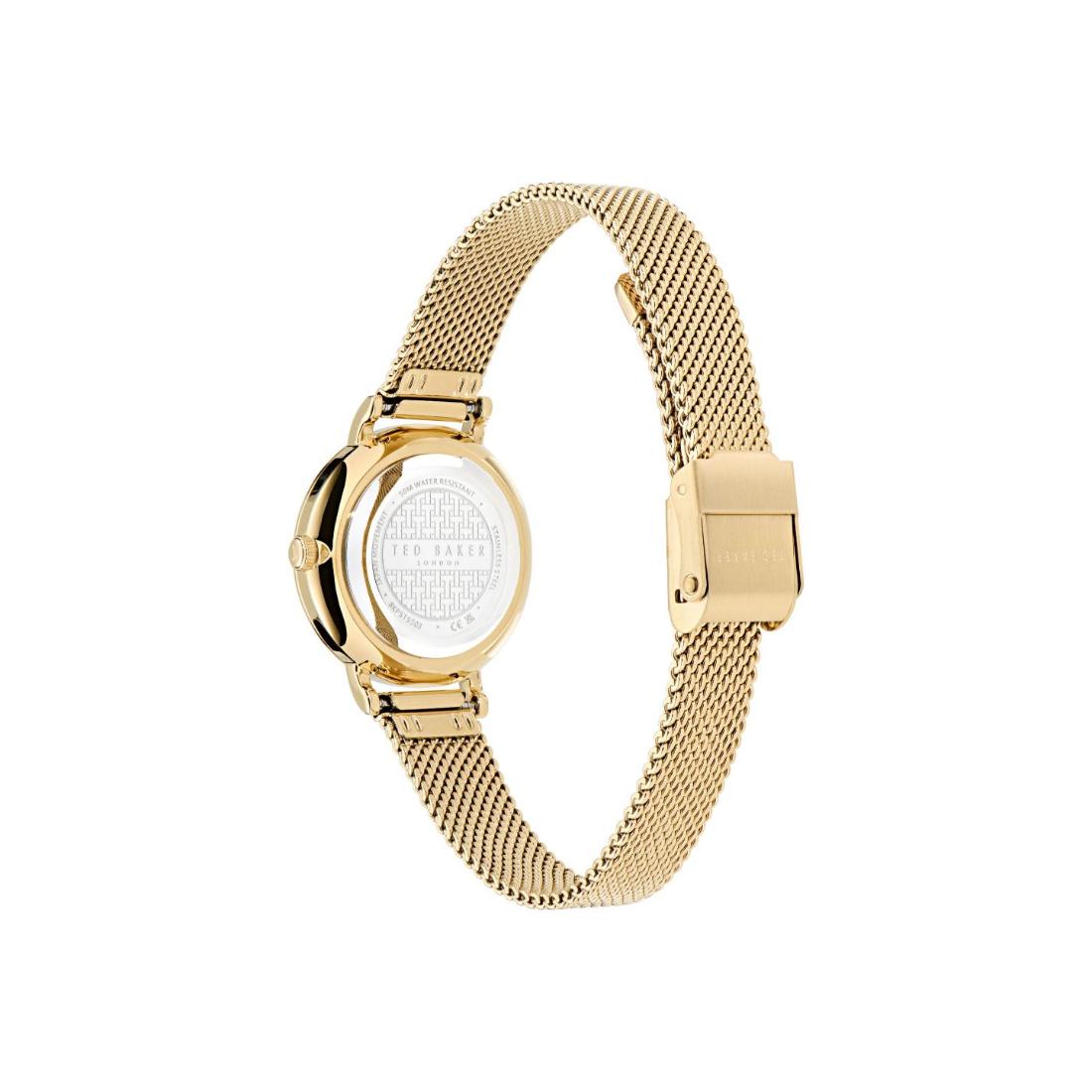 Ted Baker Staciie 28 mm Green Dial Women Analog Watch- BKPSTS503