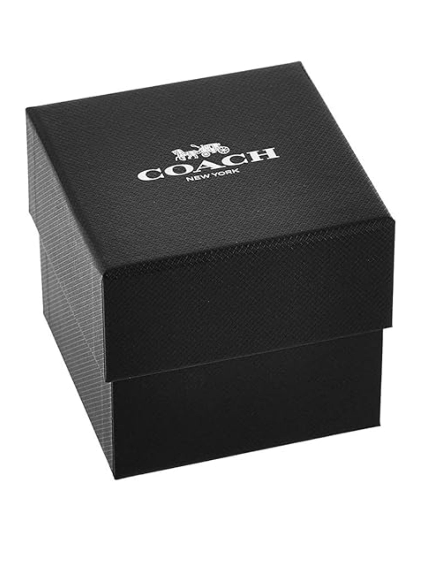 Coach PERRY 36 mm Silver Dial Women Watch 14503122