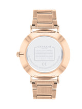 Coach PERRY 36 mm Silver Dial Women Watch 14503576