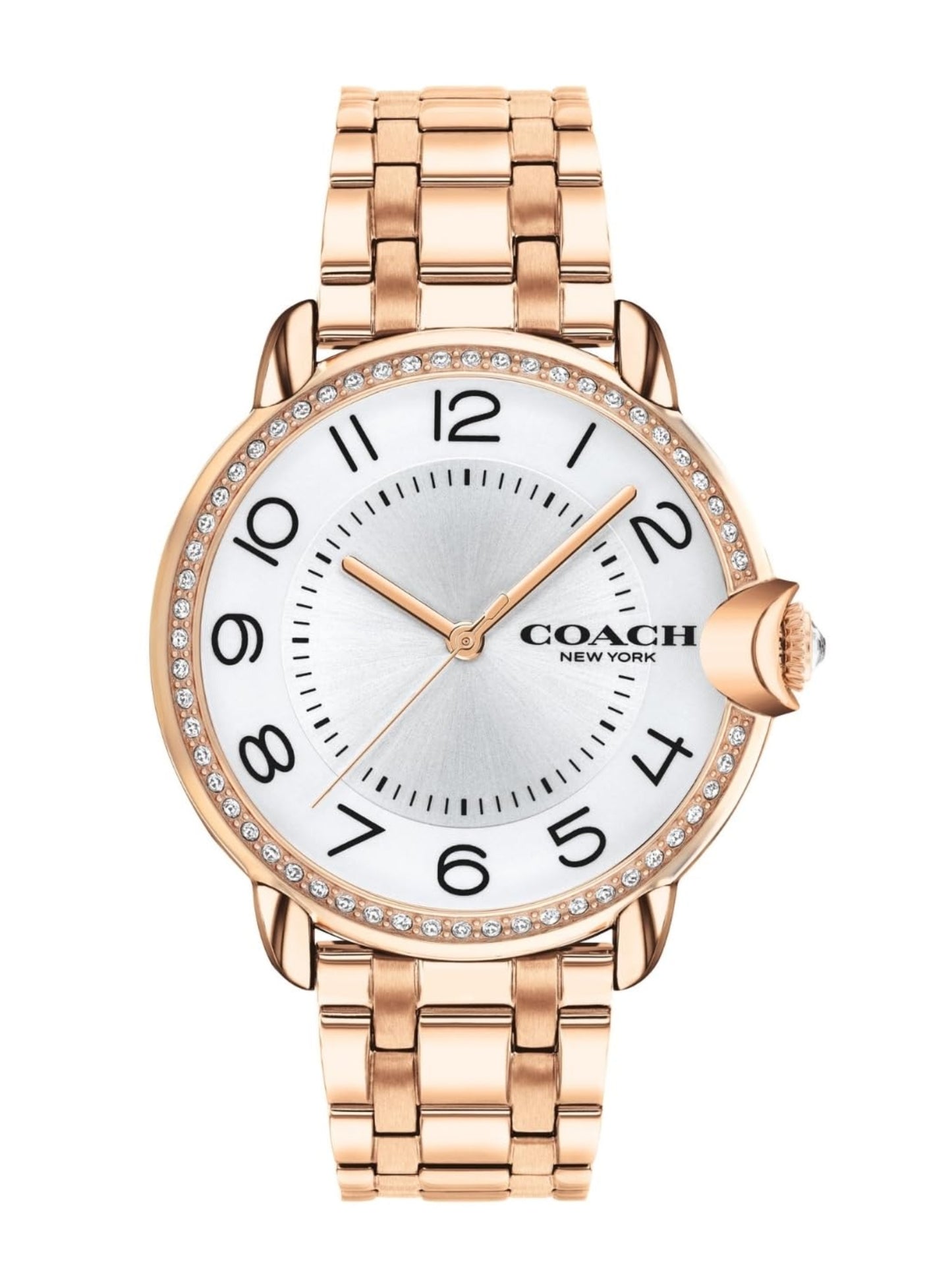 Coach ARDEN 36 mm Silver Dial Women Watch 14503809