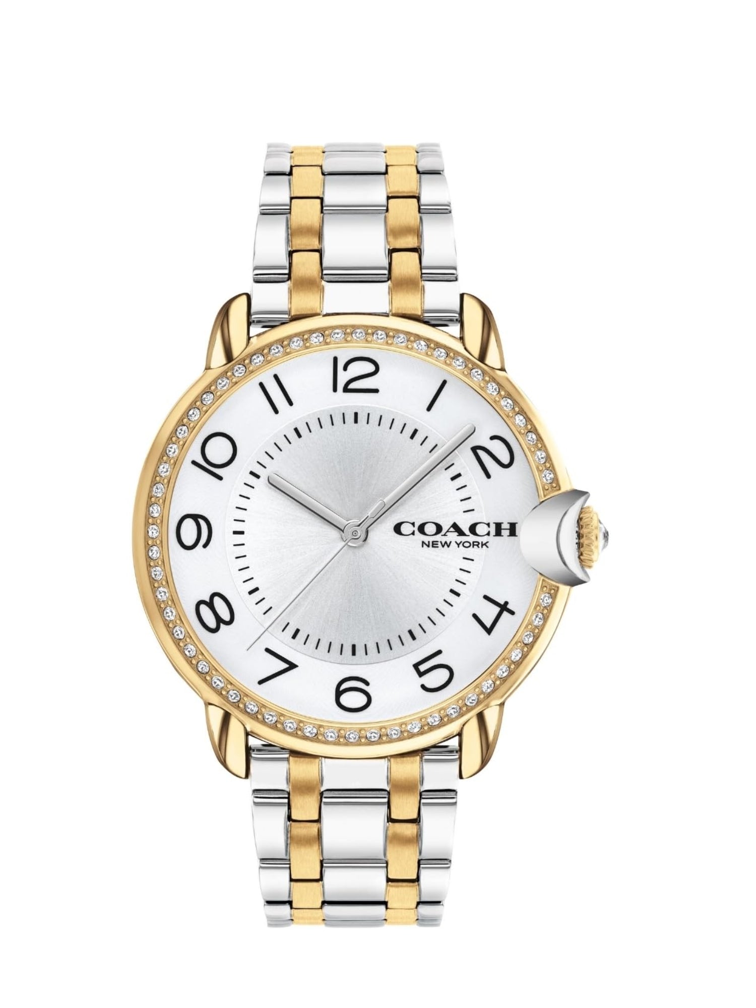 Coach ARDEN 36 mm Silver Dial Women Watch 14503811