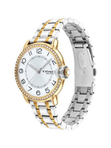 Coach ARDEN 36 mm Silver Dial Women Watch 14503811