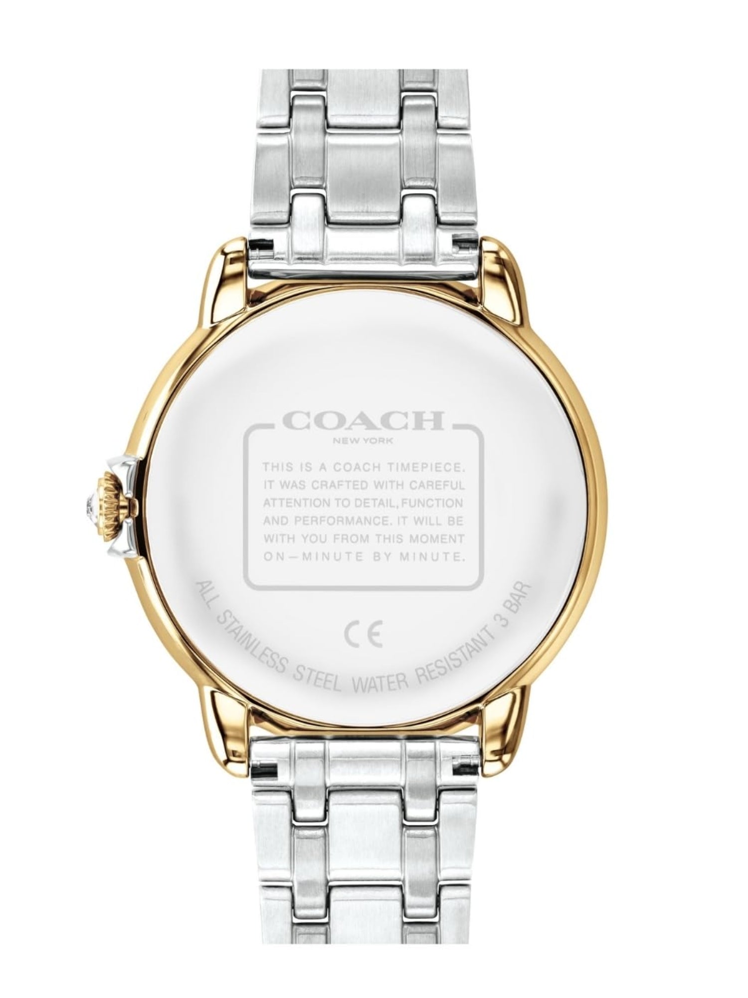 Coach ARDEN 36 mm Silver Dial Women Watch 14503811