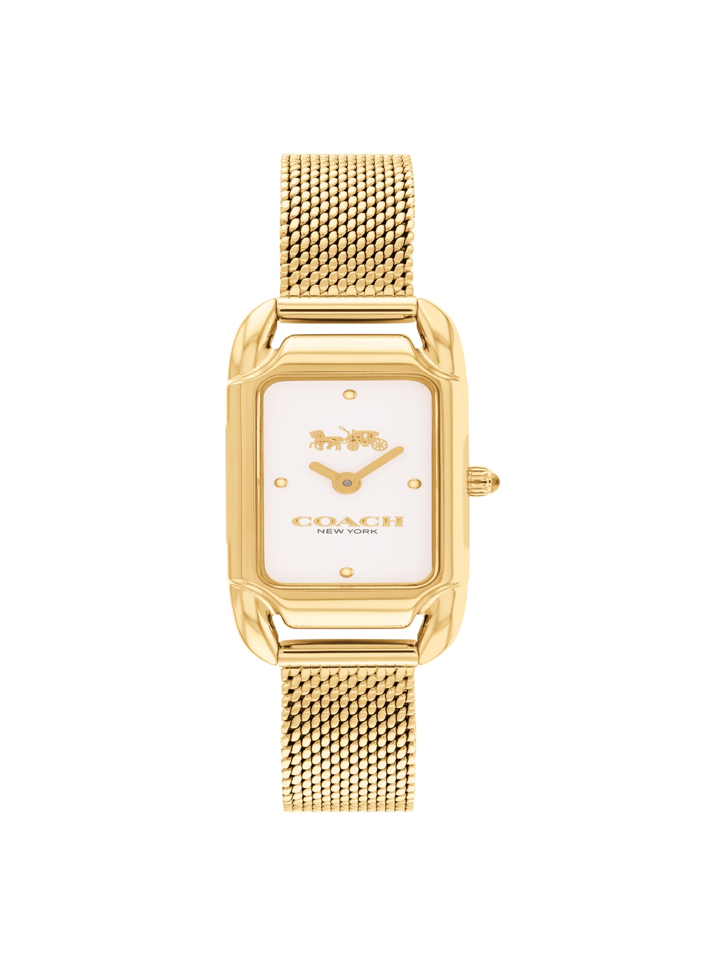 Coach CADIE 17.5 mm Silver Dial Women Watch 14504033