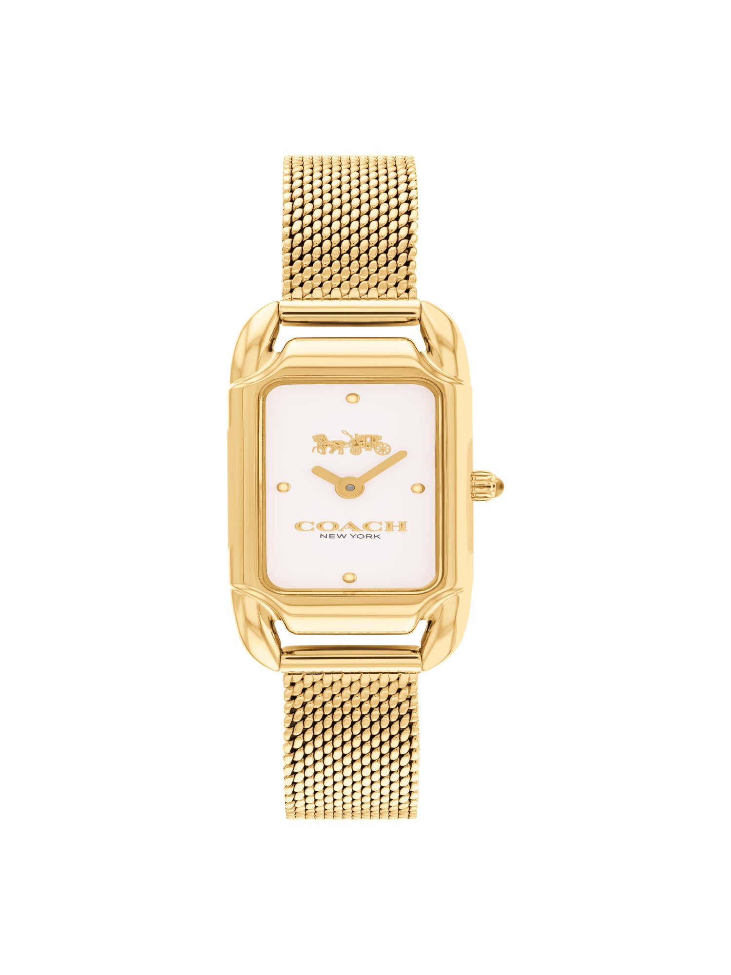 Coach CADIE 17.5 mm Silver Dial Women Watch 14504033