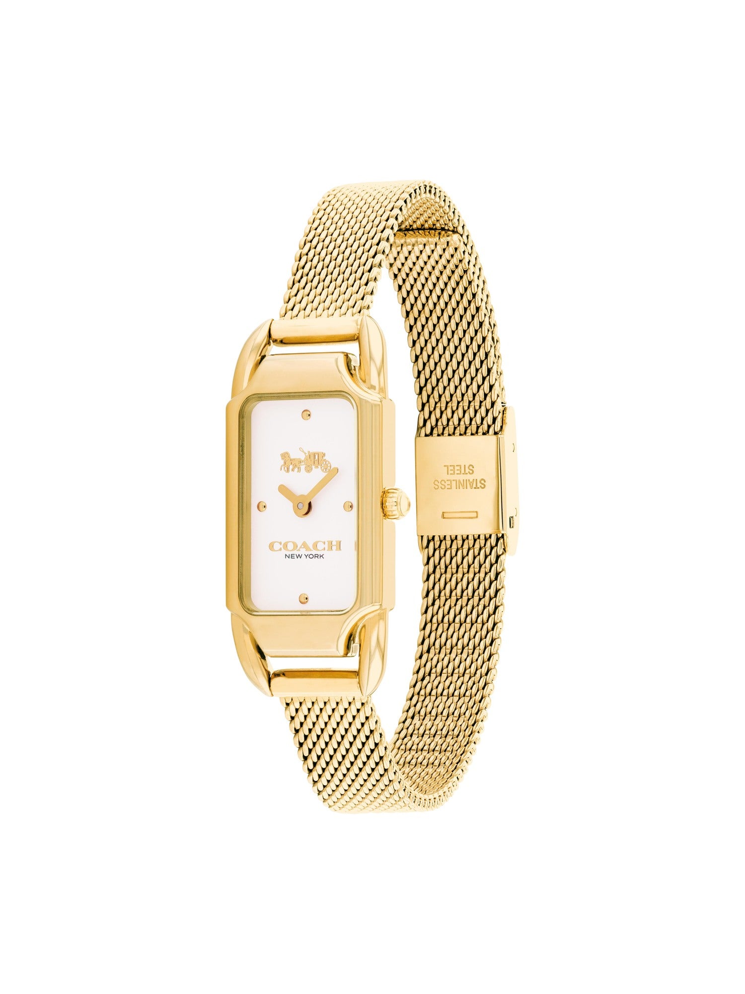 Coach CADIE 17.5 mm Silver Dial Women Watch 14504033
