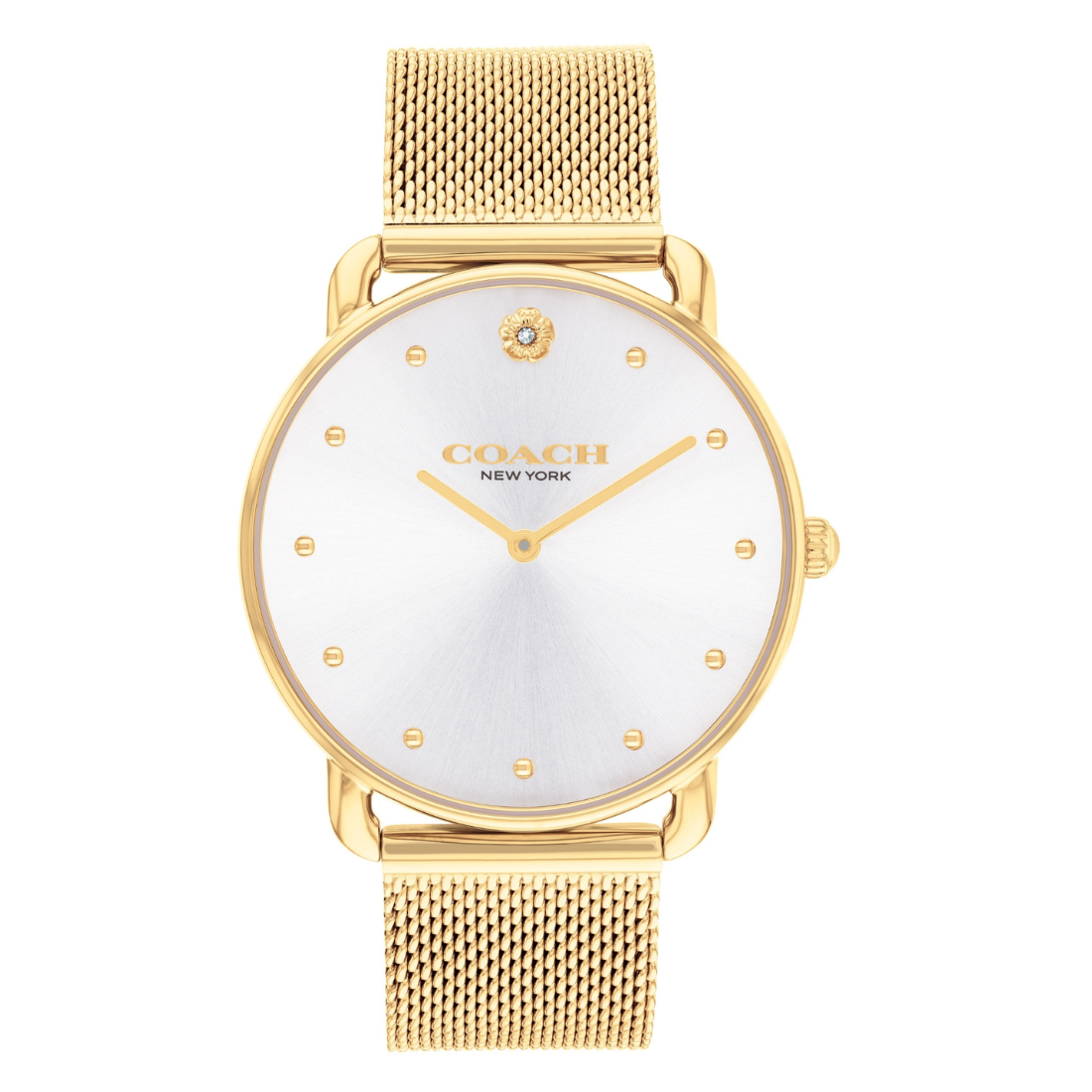 Coach ELLIOT 36 mm Silver Dial Women Watch 14504208