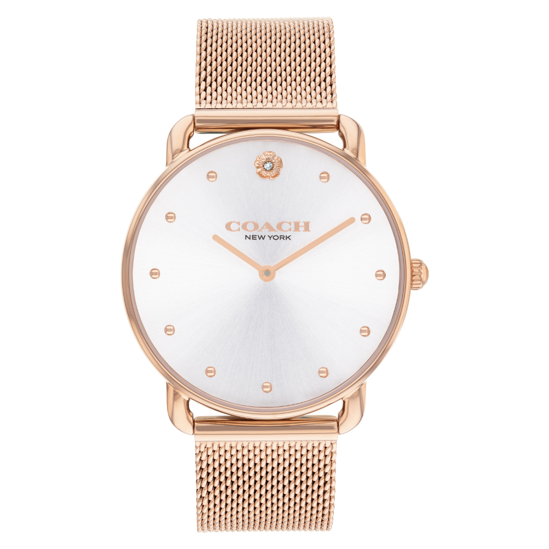 Coach ELLIOT 36 mm Silver Dial Women Watch 14504209