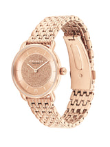 Coach ELLIOT 28 mm Gold Dial Women Watch 14504371