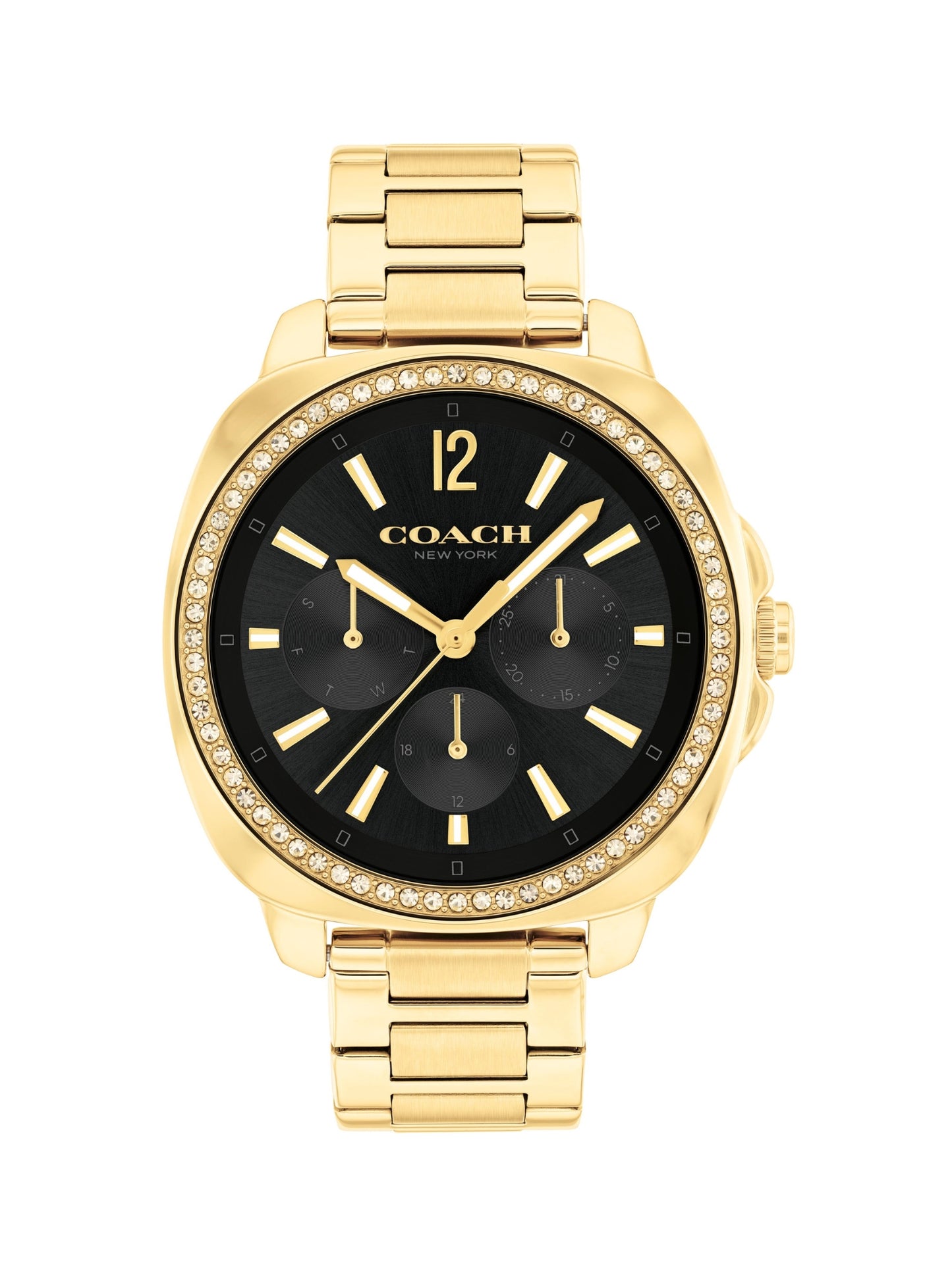 Coach KITT 38 mm Black Dial Women Watch 14504398