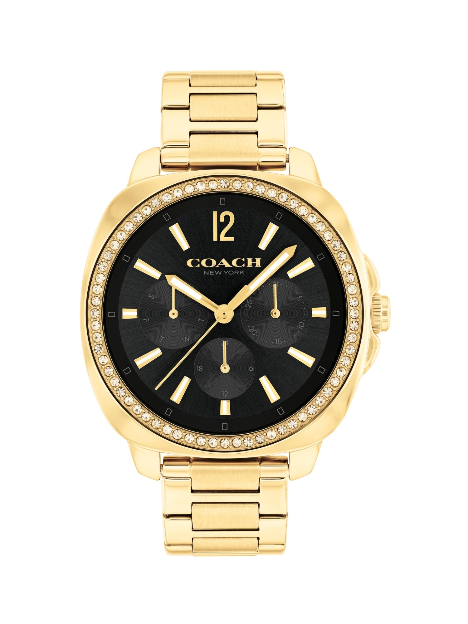 Coach KITT 38 mm Black Dial Women Watch 14504398