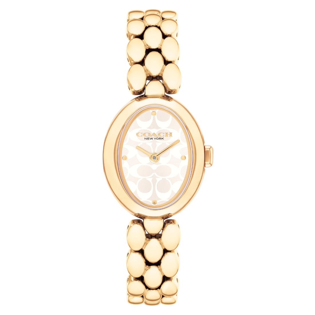 Coach SAMMY 22.5 mm Silver Dial Women Watch 14504417