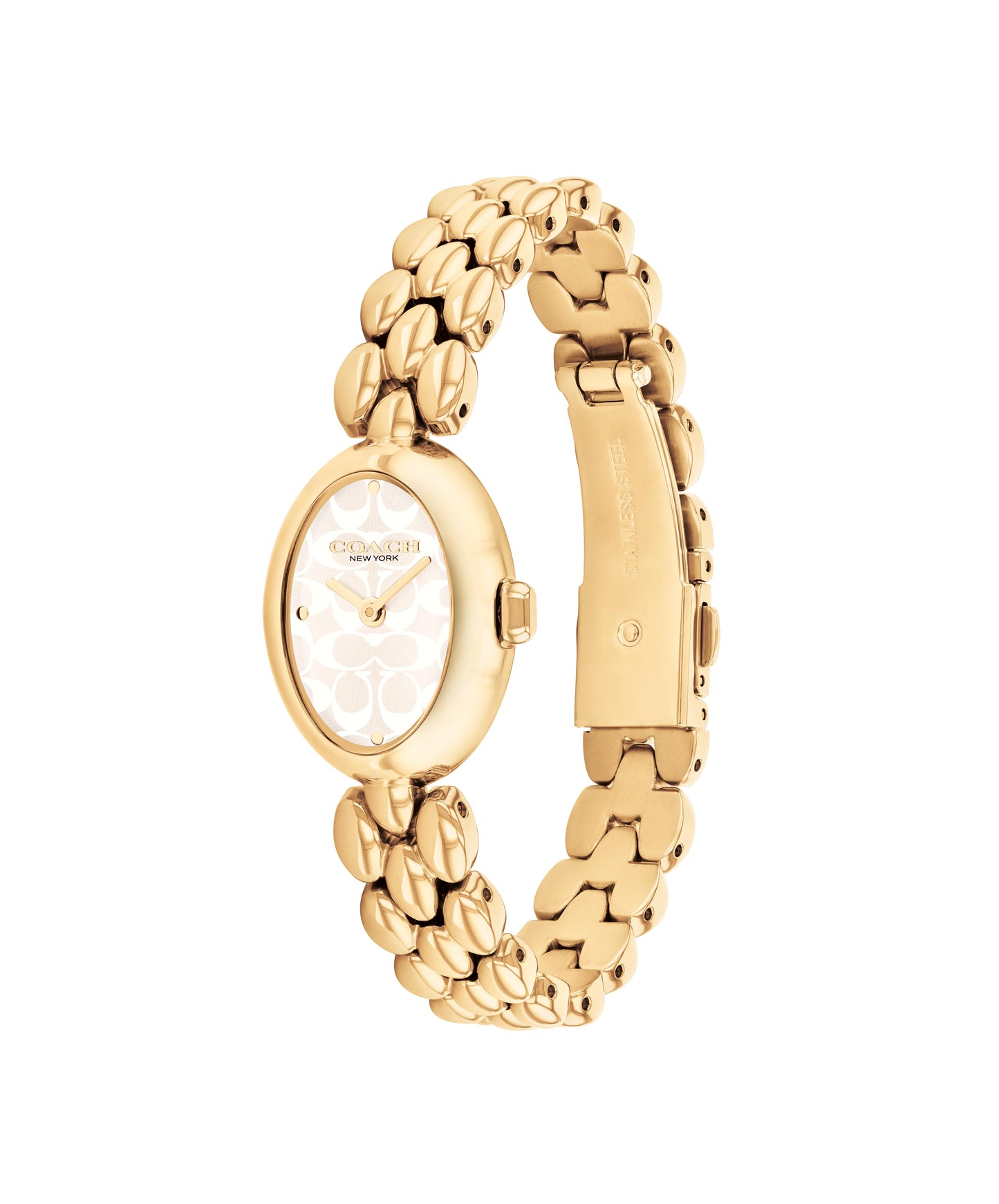 Coach SAMMY 22.5 mm Silver Dial Women Watch 14504417