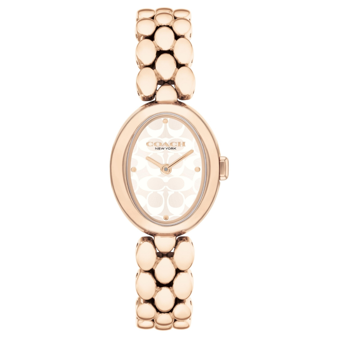 Coach SAMMY 22.5 mm Silver Dial Women Watch 14504418