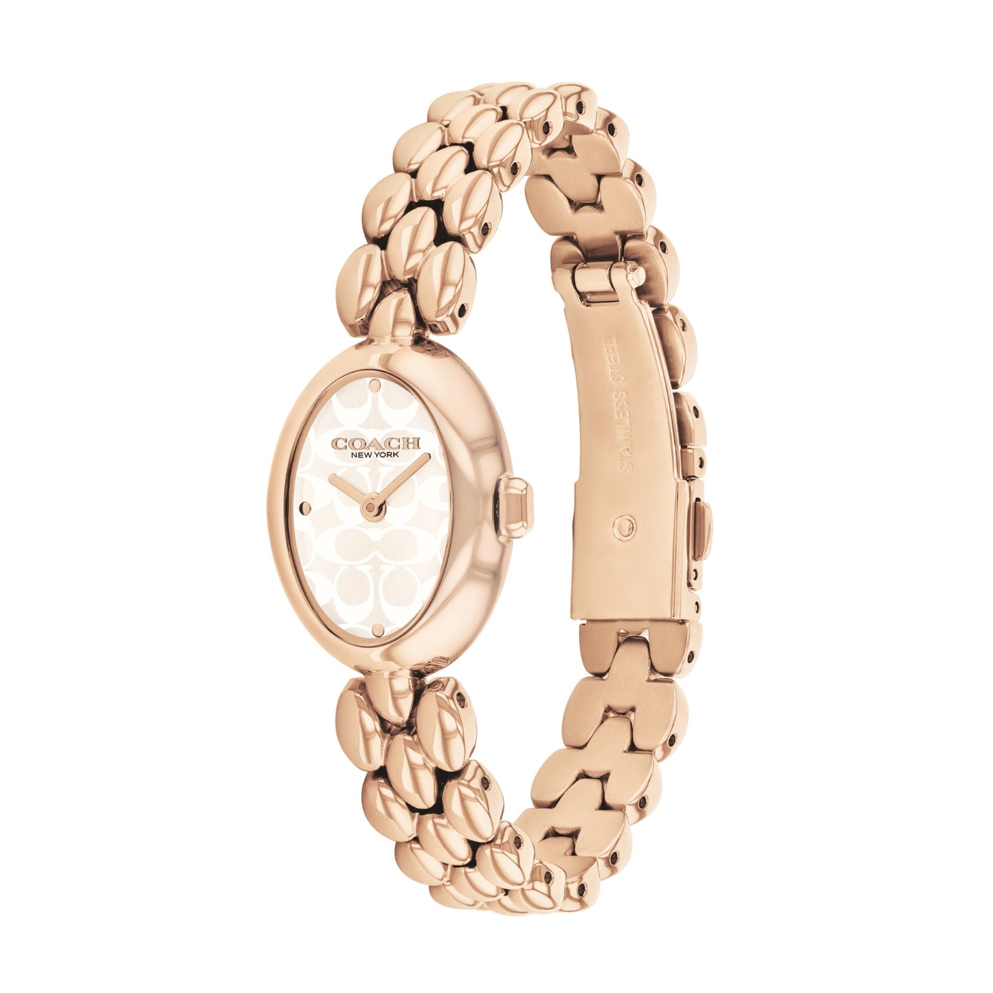 Coach SAMMY 22.5 mm Silver Dial Women Watch 14504418