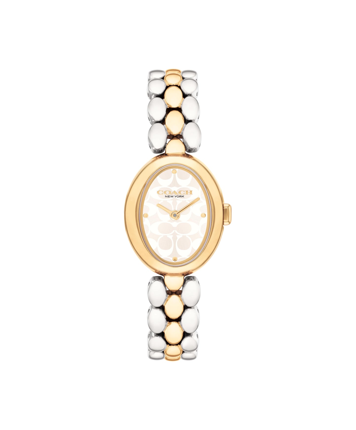 Coach SAMMY 22.5 mm Silver Dial Women Watch 14504419