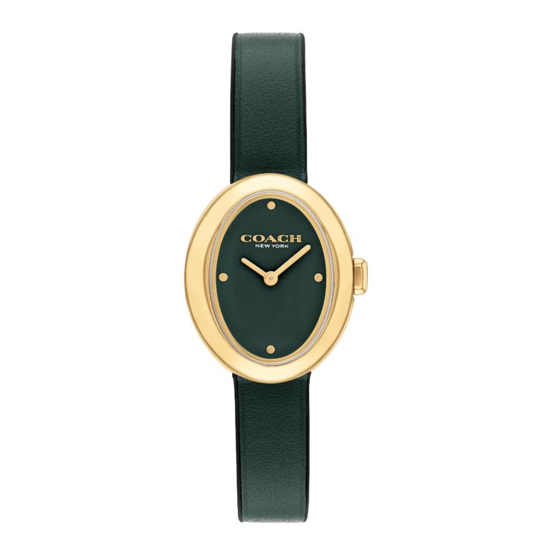 A Coach women's watch featuring an oval gold-tone case, a dark forest green dial with gold-tone hands and hour markers, and a matching dark green leather strap, shown against a plain white background.