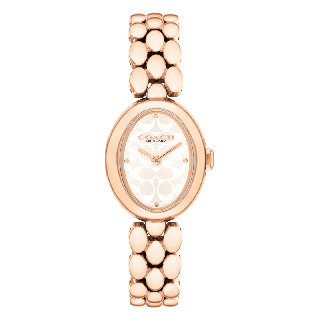 Coach SAMMY 22.5 mm Silver Dial Women Watch 14504437