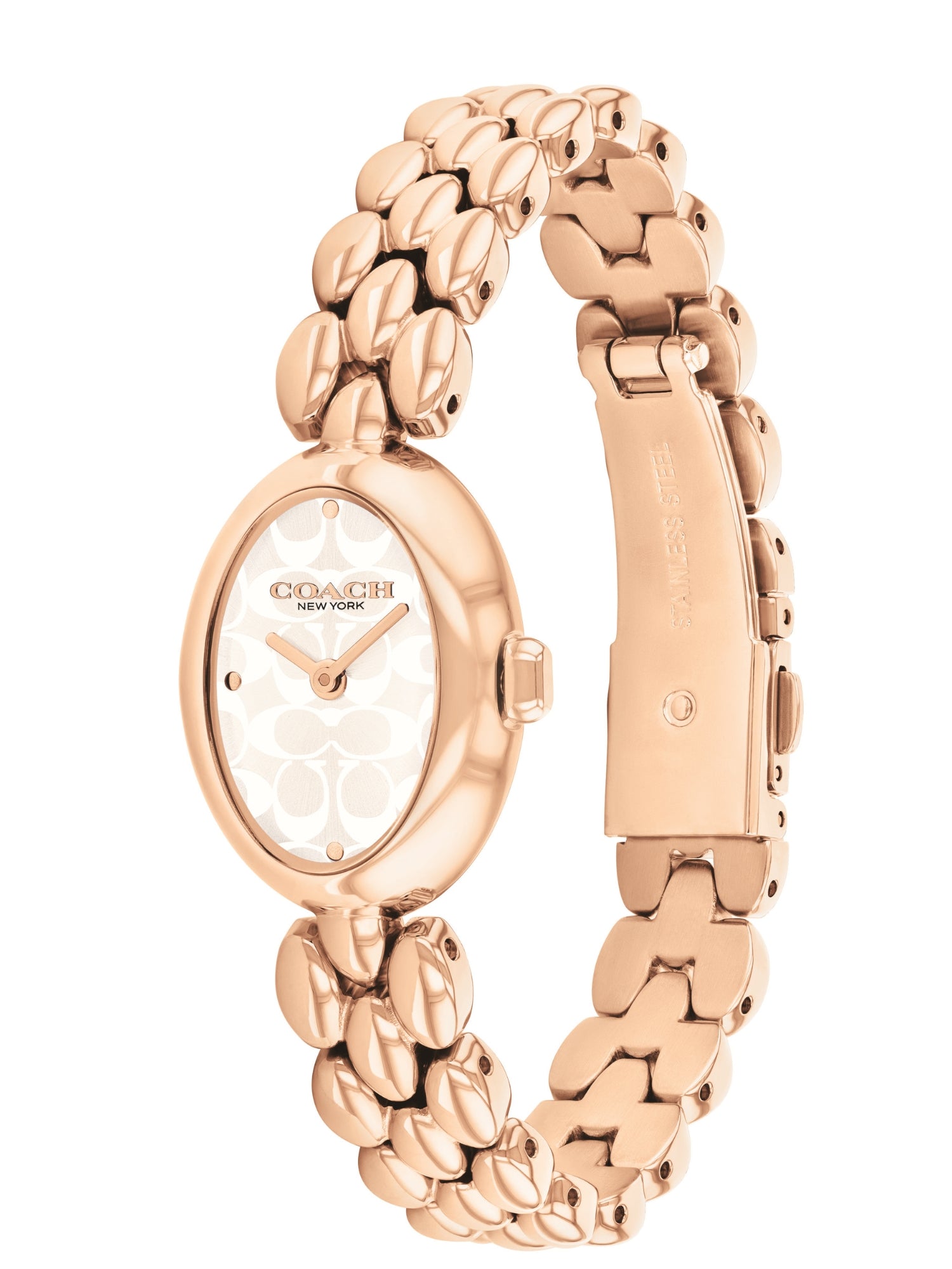 Coach SAMMY 22.5 mm Silver Dial Women Watch 14504437