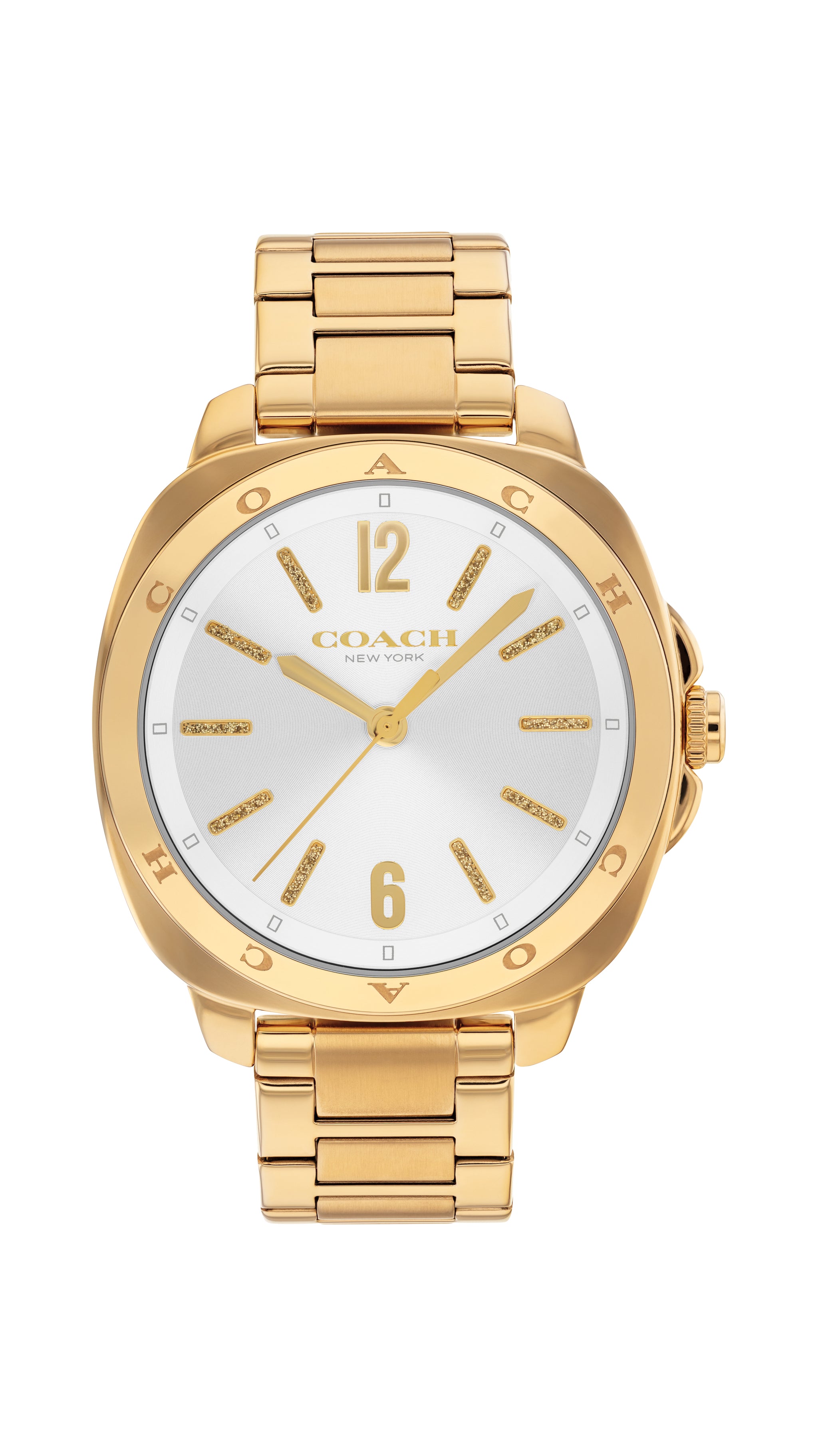 Coach KITT 38 mm Silver Dial Women Watch 14504478