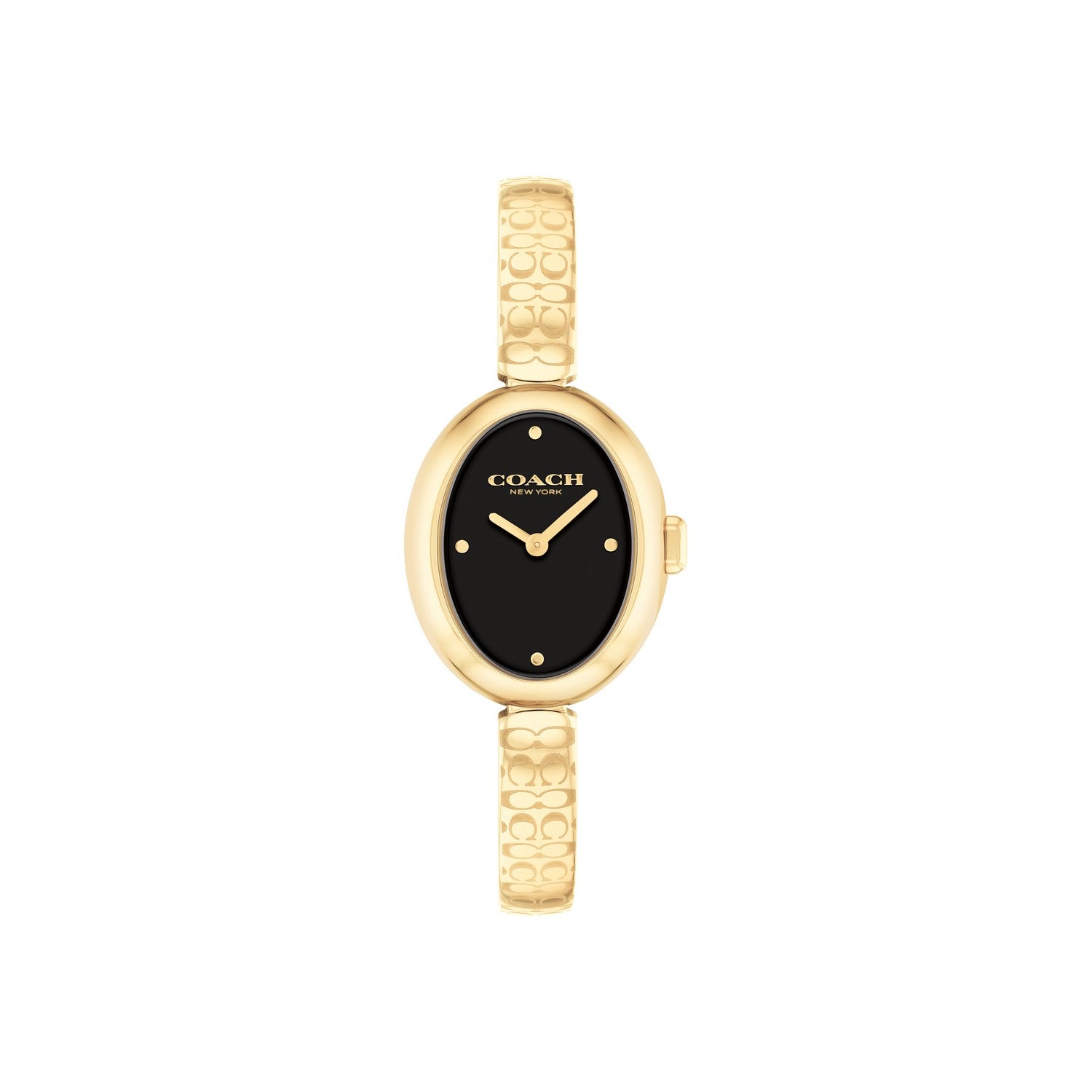 Coach SAMMY 22.5 mm Black Dial Women Watch 14504521