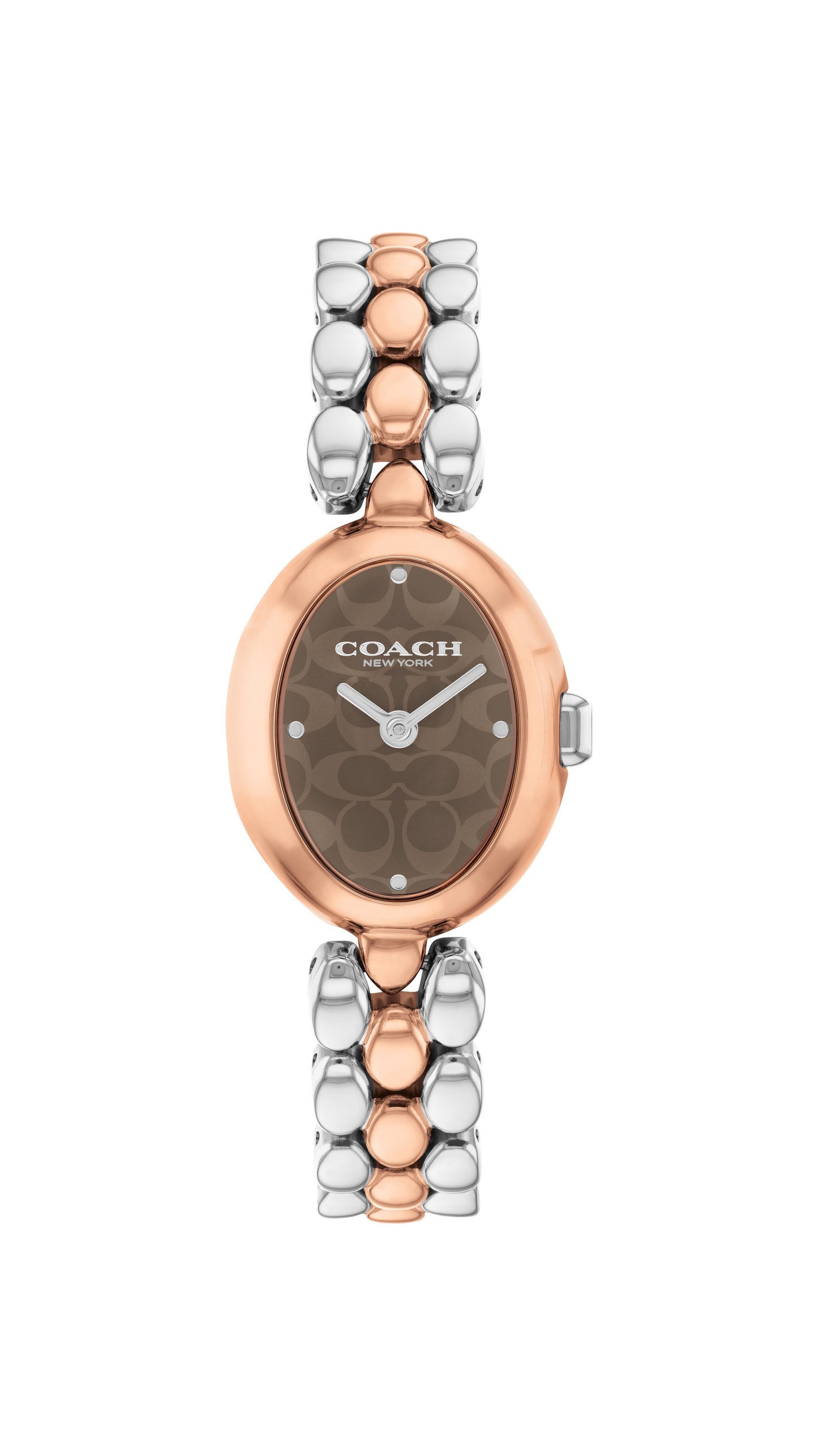 Coach SAMMY 22.5 mm Brown Dial Women Watch 14504542