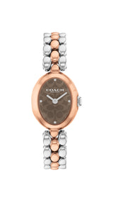 Coach SAMMY 22.5 mm Brown Dial Women Watch 14504542