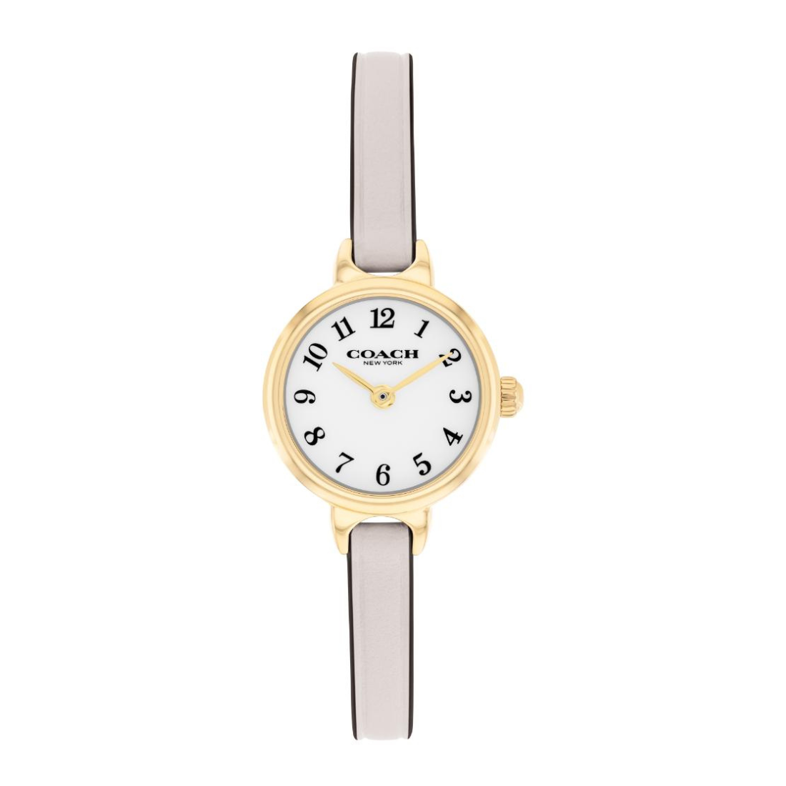 Coach Iris Chalk 22.5 mm Dial Women Analog Watch 14504655