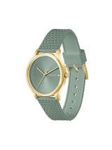 Lacoste Crocodelle Green 36 mm Dial Women Analog Watch 2001491