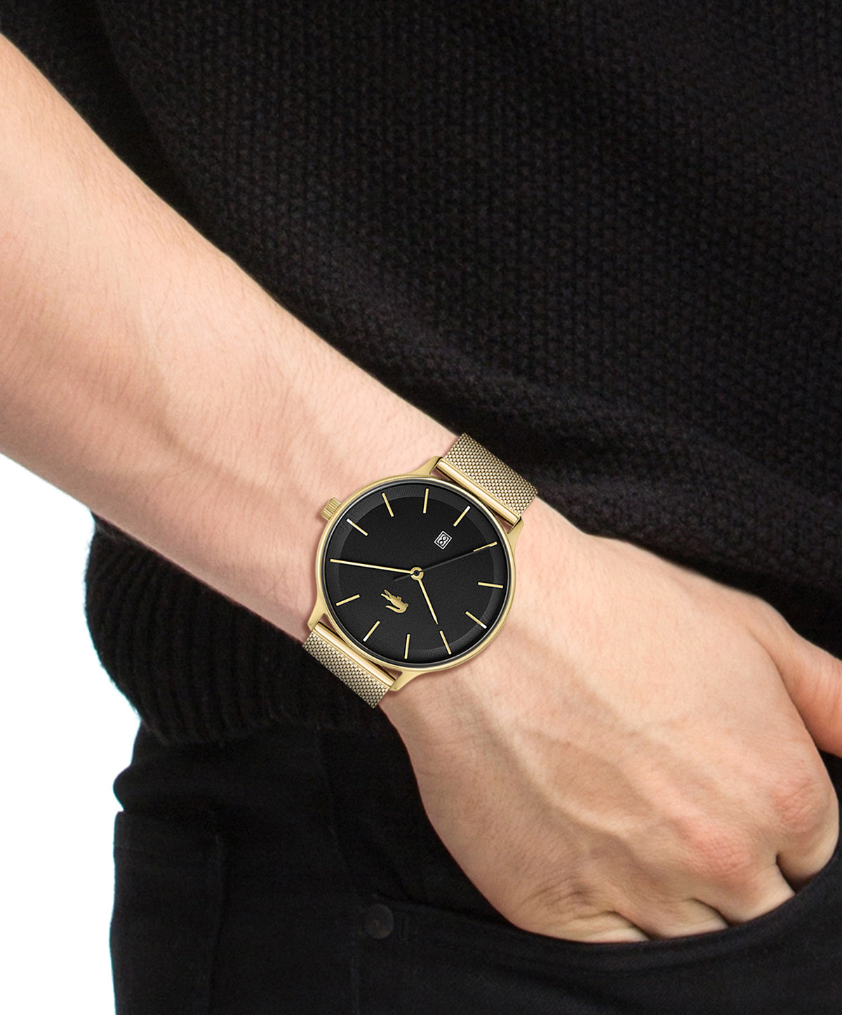 Lacoste L. CLUB 42 mm Black Dial Men Watch 2011224