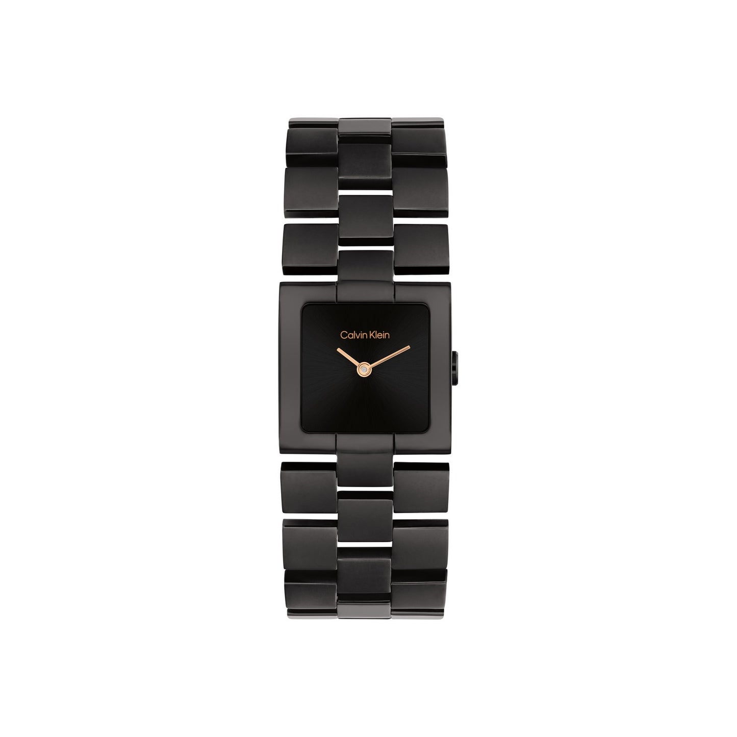 Calvin Klein CK MERIDIAN 22 mm Black Dial Women Watch-  25100091