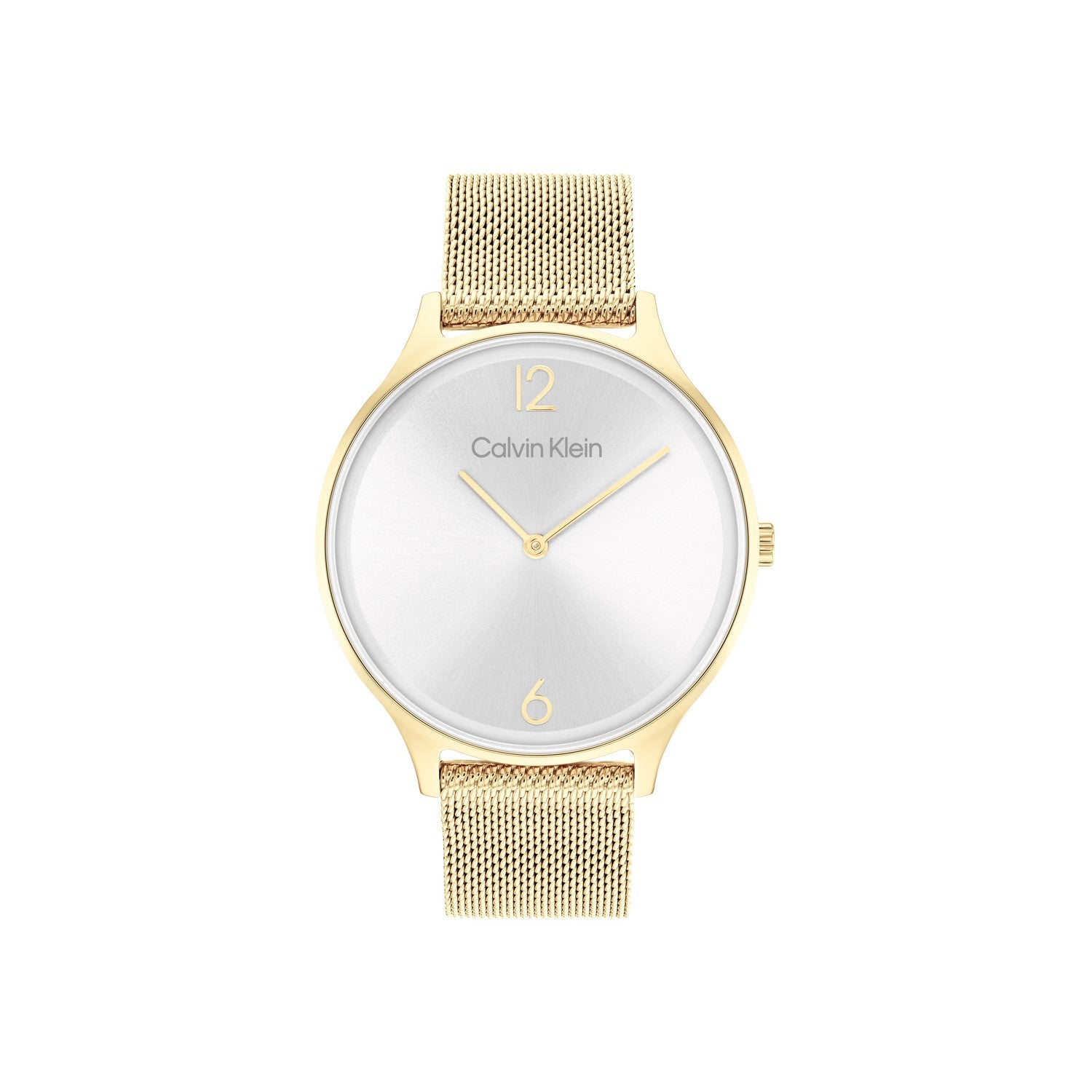 Calvin Klein TIMELESS MESH 38MM 38 mm Silver Dial Women Analog Watch 25200003