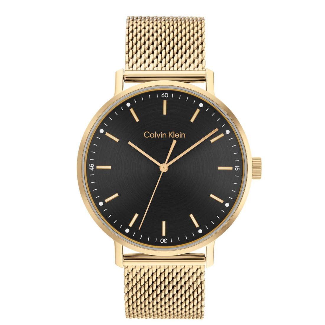 Calvin Klein MODERN MESH 42 mm Black Dial Men Watch 25200049