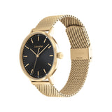 Calvin Klein MODERN MESH 42 mm Black Dial Men Watch 25200049