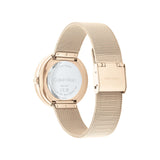 Calvin Klein TWISTED BEZEL 34 mm Black Dial Women Watch 25200151