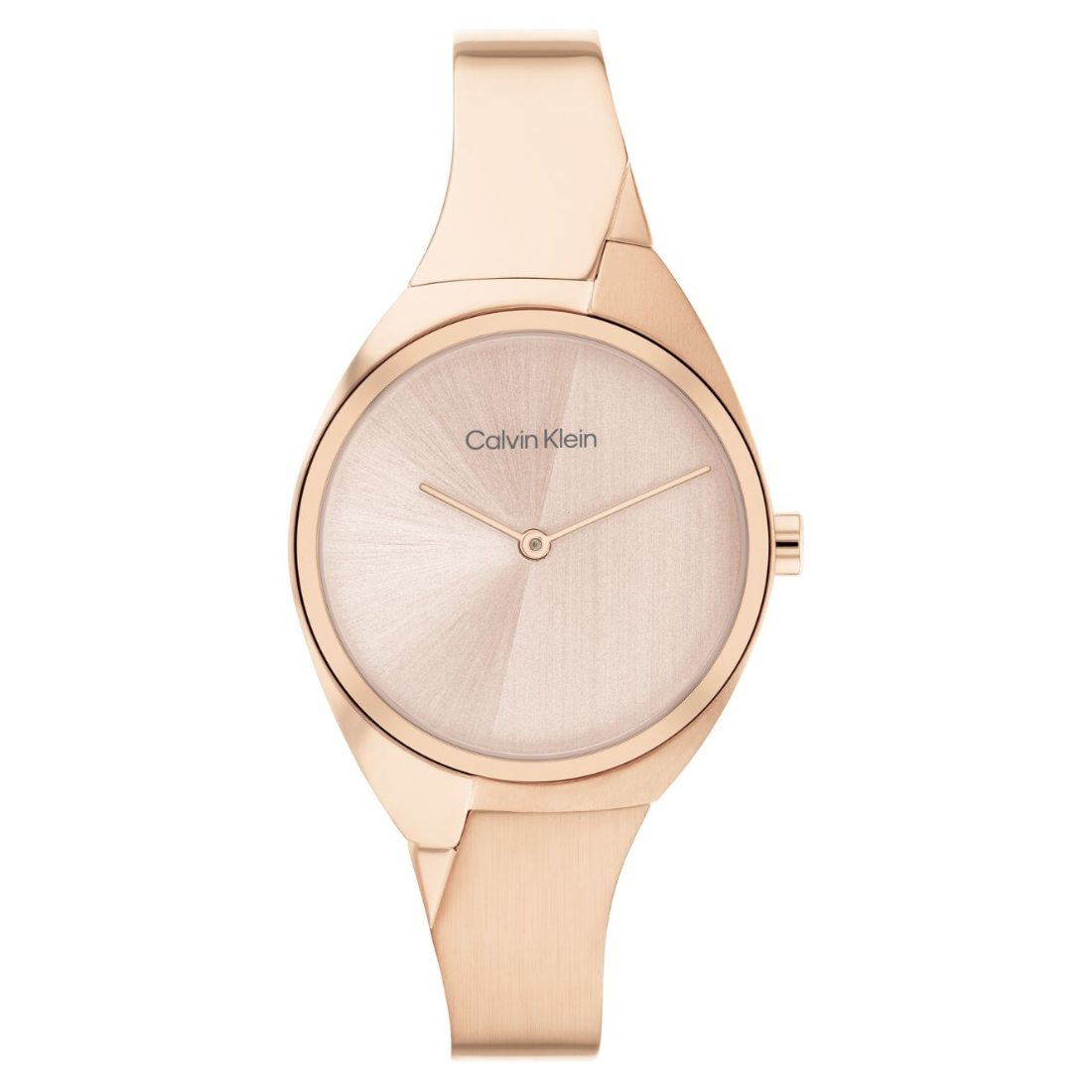 Calvin Klein CHARMING 30 mm Blue Dial Women Watch 25200236