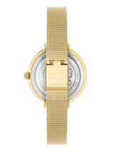 Ted Baker 34 mm Women Other Wrist Watch BKPAMS305