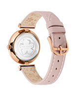 Ted Baker 36 mm Pink Dial Women Watch BKPDAF202