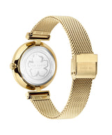 Ted Baker Gold Tone Dial Women Watch BKPDAF203