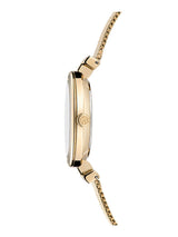 Ted Baker 36 mm Green Dial Women Watch BKPDAF305