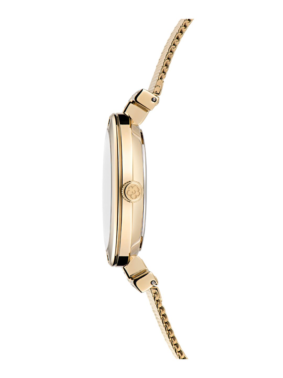 Ted Baker 36 mm Green Dial Women Watch BKPDAF305