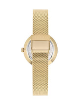 Ted Baker 36 mm Green Dial Women Watch BKPDAF305