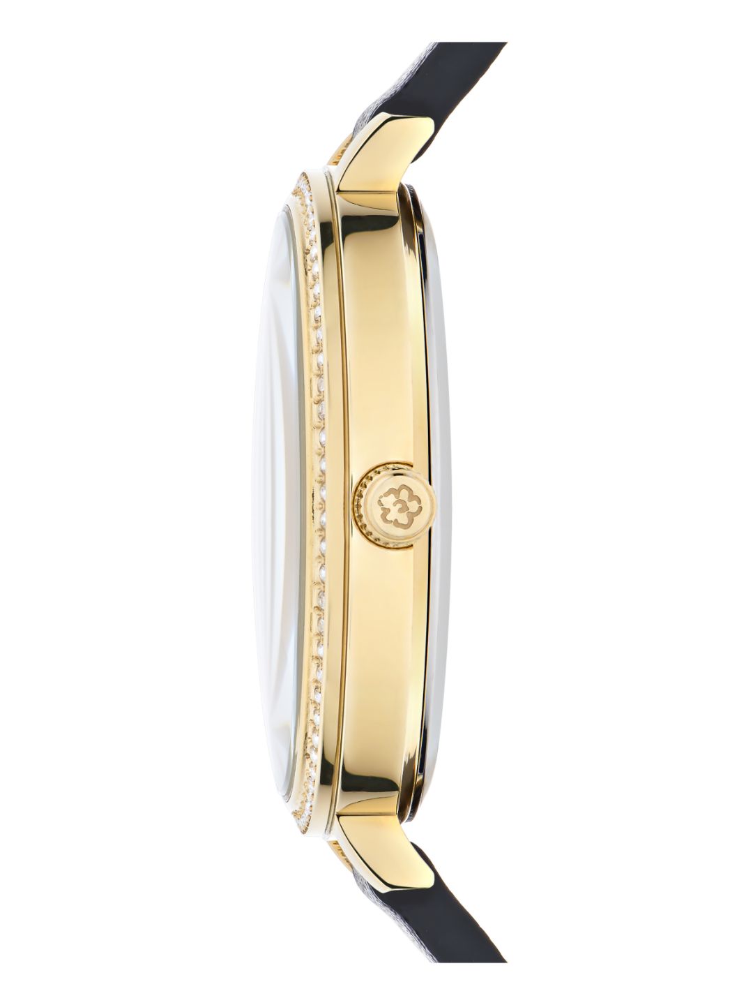 Ted Baker Women 35 mm Quartz Analog Gold Dial Black Leather Strap Watch BKPDSS300