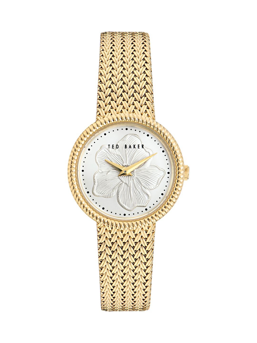 Ted Baker 30 mm Silver Tone Dial Women Watch BKPEMF302