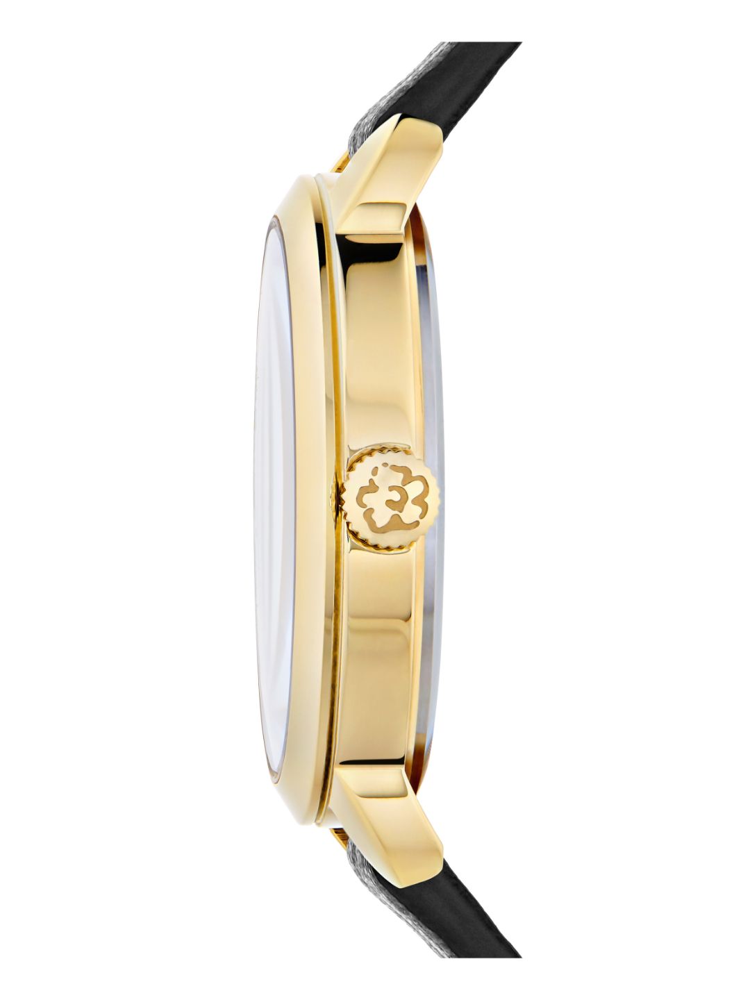 Ted Baker 34 mm Women Black Wrist Watch BKPFLS302