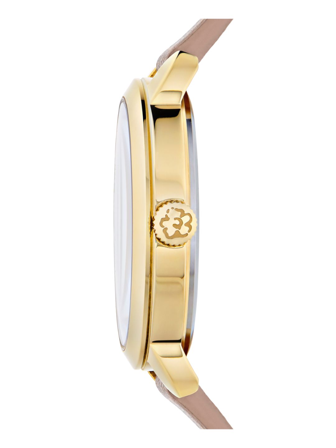 Ted Baker 34 mm Women Other Wrist Watch BKPFLS304