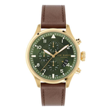 Ted Baker Fulmaar 44 mm Green Dial Men Analog Watch BKPFMF408