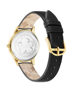Ted Baker 34 mm Black Dial Women Watch BKPFZF205